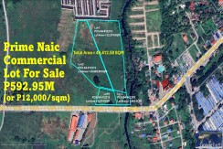 4.9 has. Bank Foreclosed Pty in Naic being sold by former owner